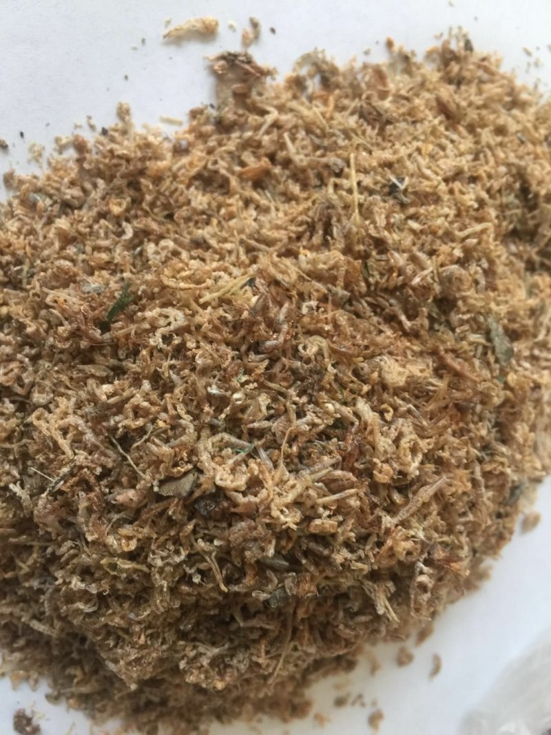 龙虾饵料烘干小虾粉碎