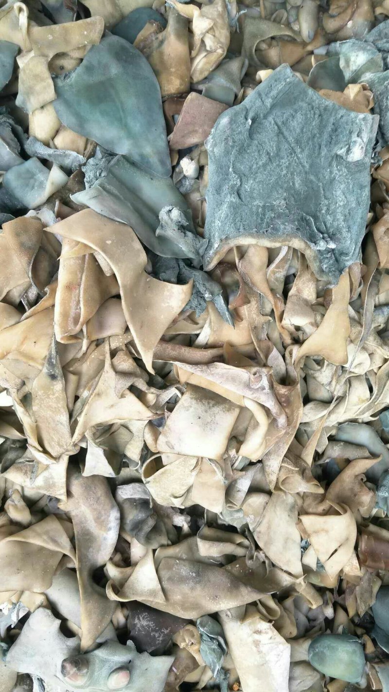 大量出售牛皮牛皮下角料