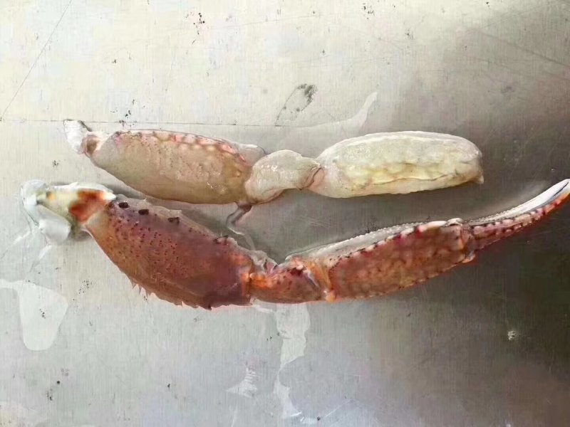 蟹脚肉