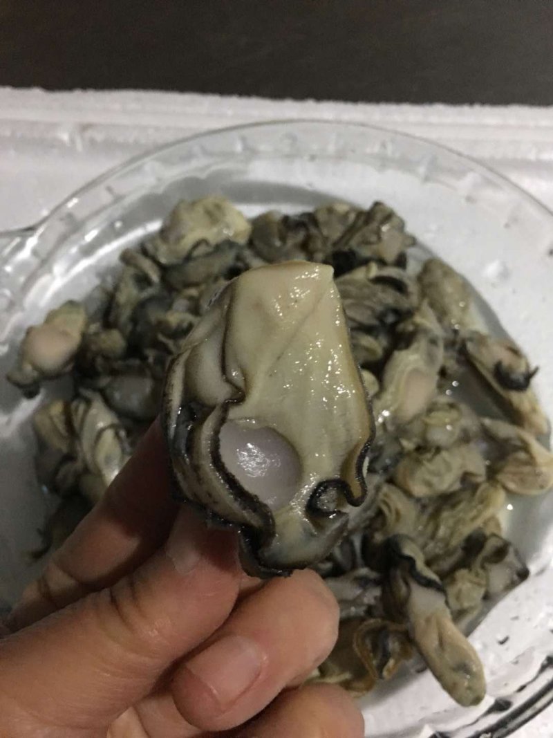 原汁励肉