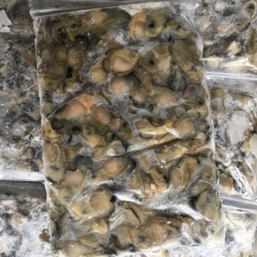 原汁励肉
