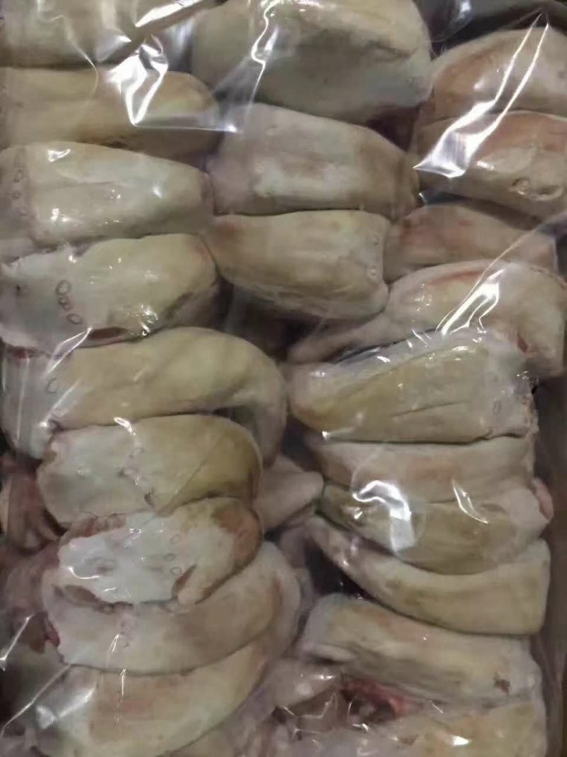 驴肉驴副产品马肉马大肠马腱子