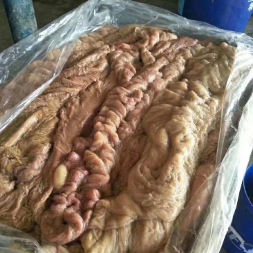 驴肉驴副产品马肉马大肠马腱子