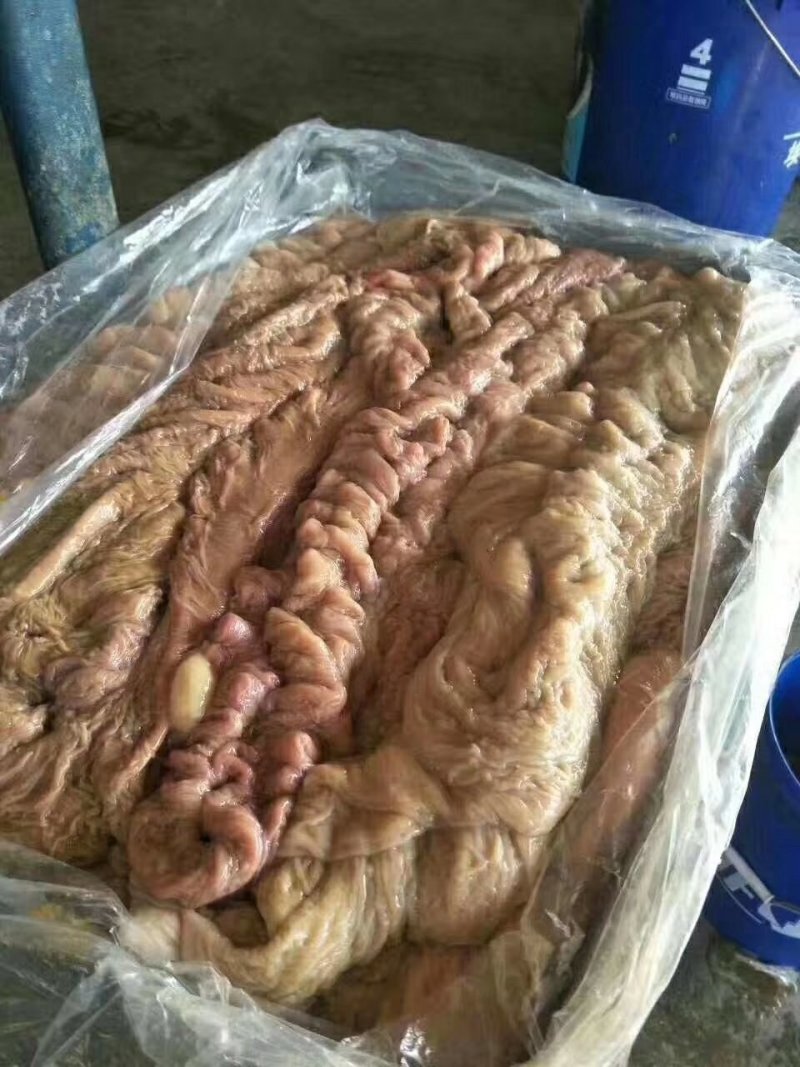 驴肉驴副产品马肉马大肠马腱子