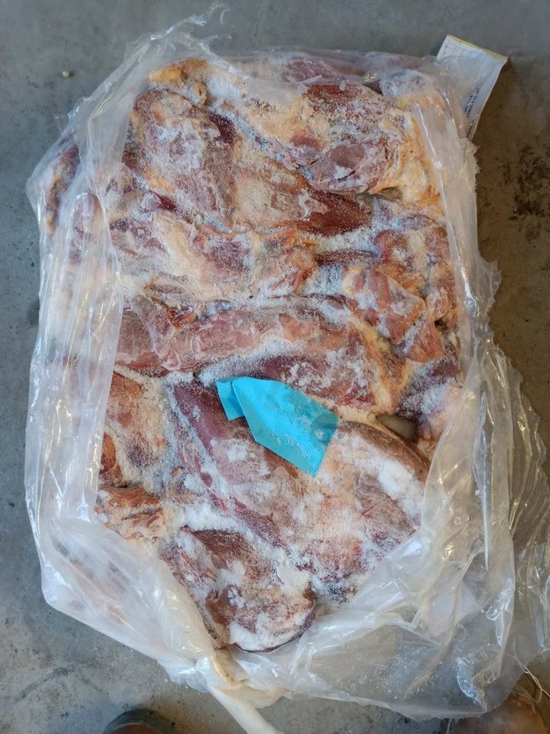 正关外蒙马腱子两吨甩了