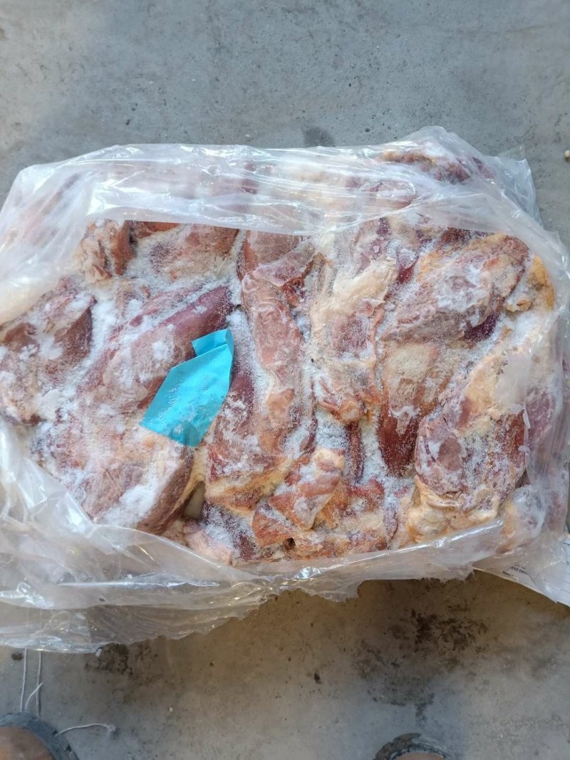 正关外蒙马腱子两吨甩了