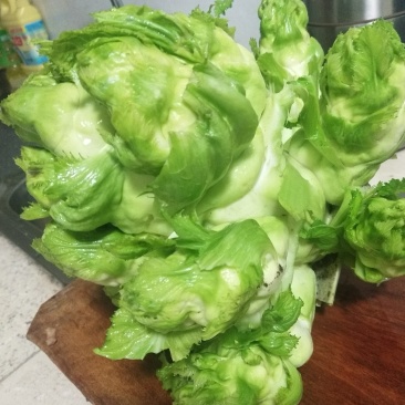 精品儿菜