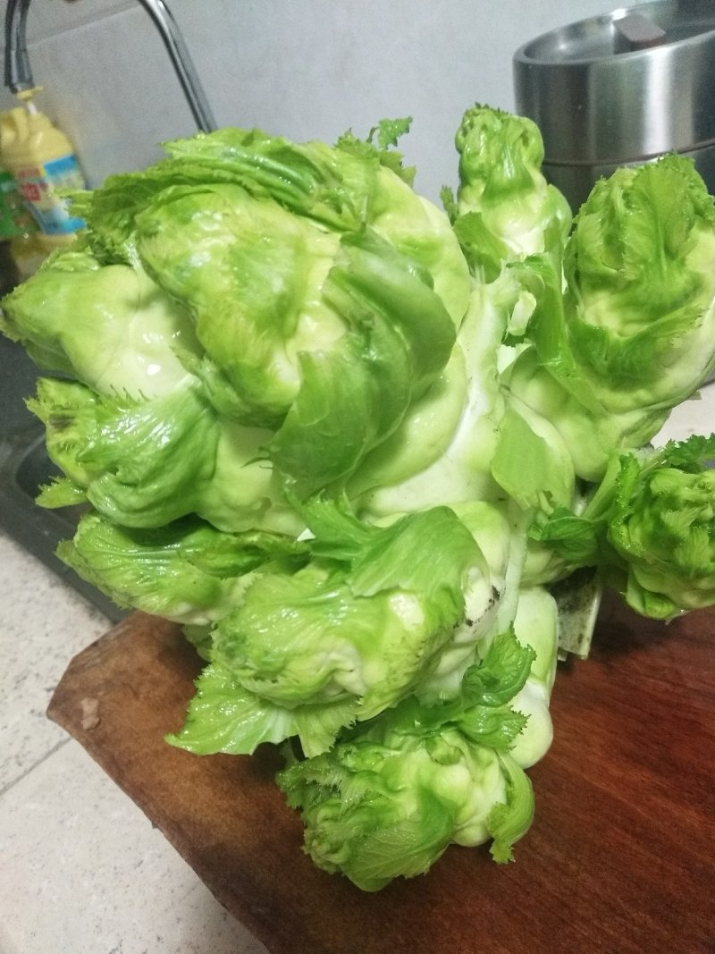 精品儿菜