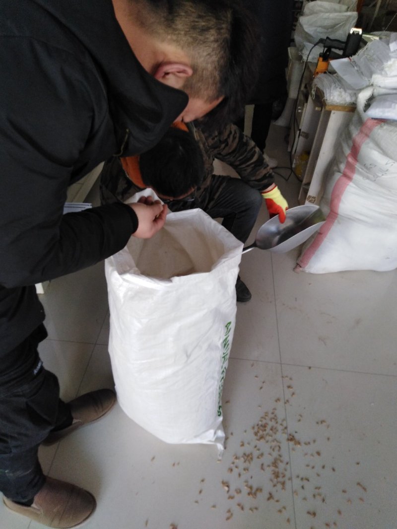 雪松需要联系我