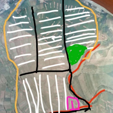 500亩大棚基地合作