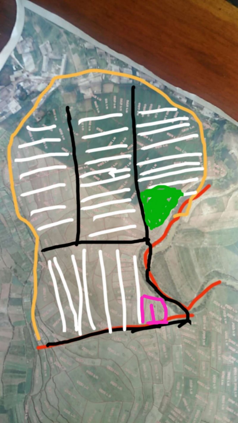 500亩大棚基地合作