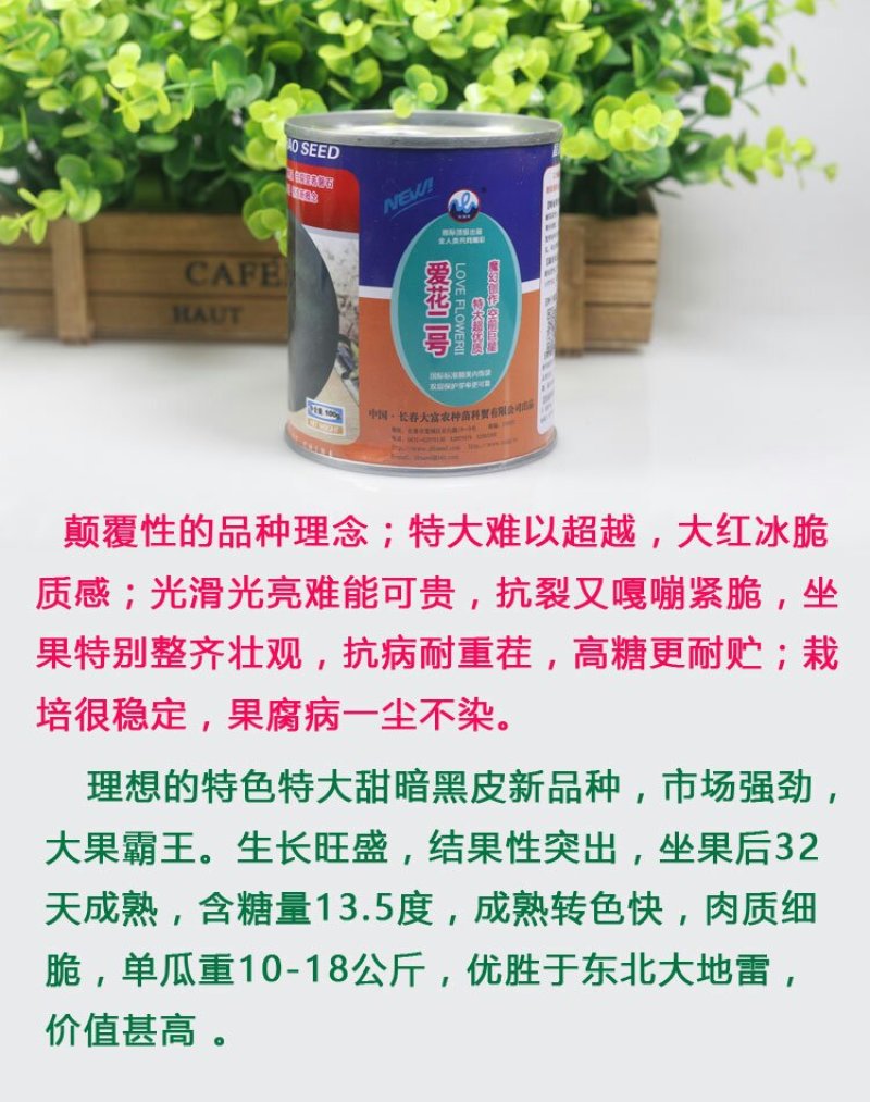 爱花二号黑皮西瓜种子皮薄坚韧大红瓤糖度高特抗重茬