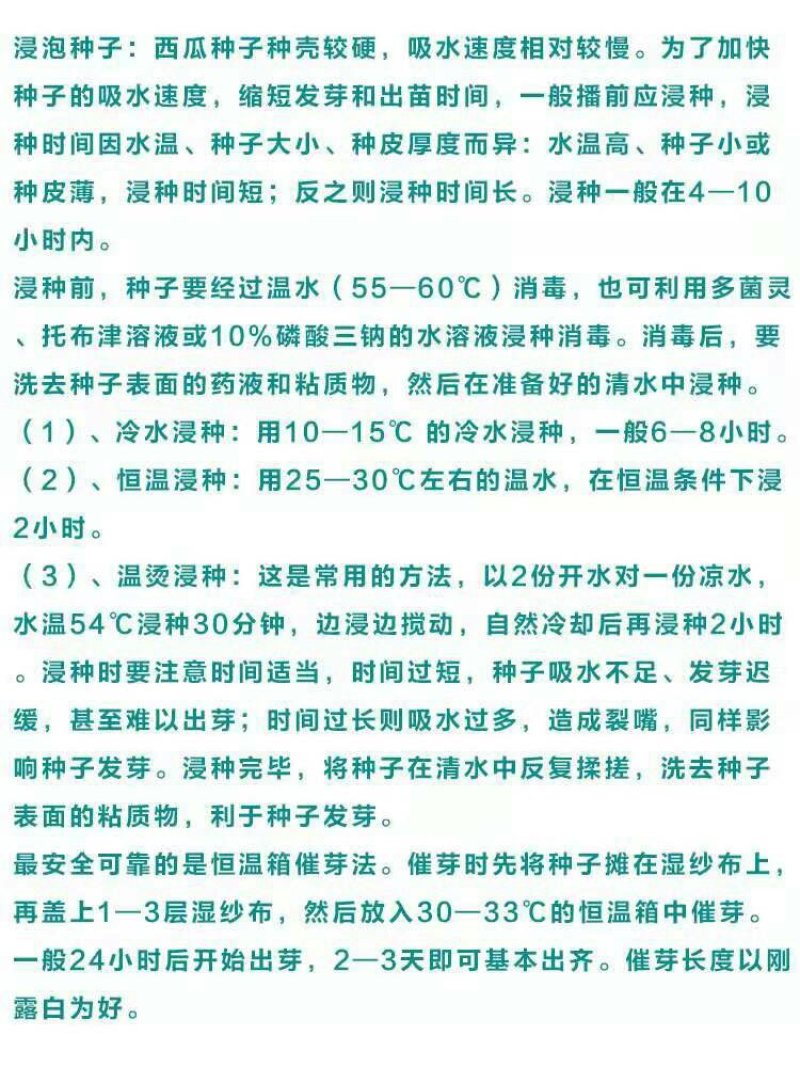爱花二号黑皮西瓜种子皮薄坚韧大红瓤糖度高特抗重茬