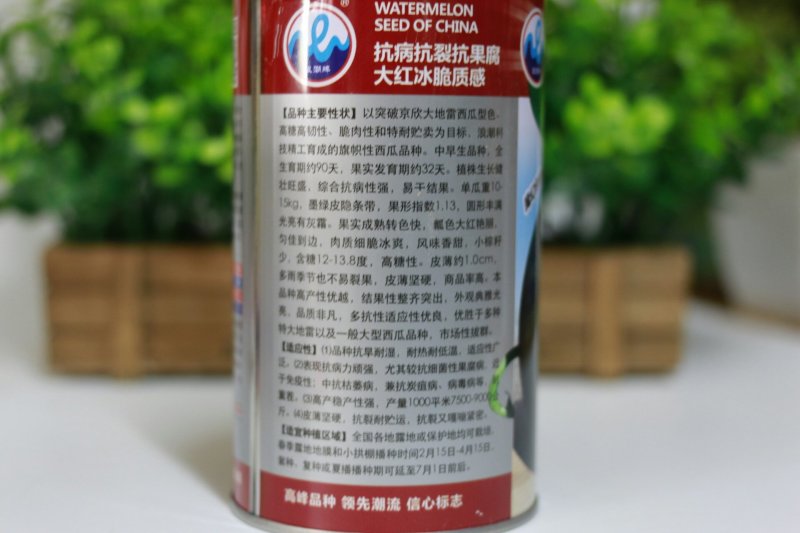 爱花二号黑皮西瓜种子皮薄坚韧大红瓤糖度高特抗重茬