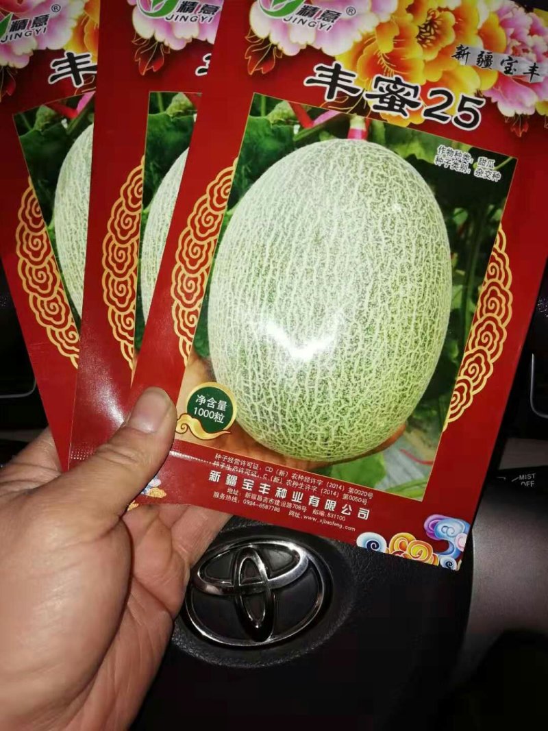 哈密瓜种苗