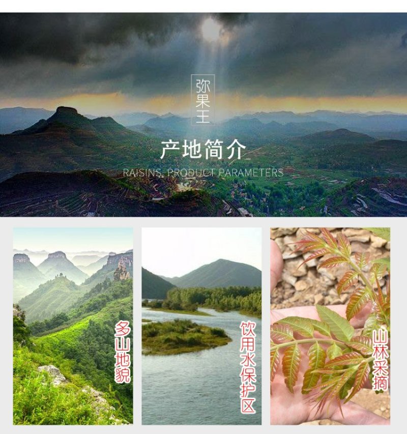 山东香椿芽3斤装提供淘宝微商各大平台一件代发服务