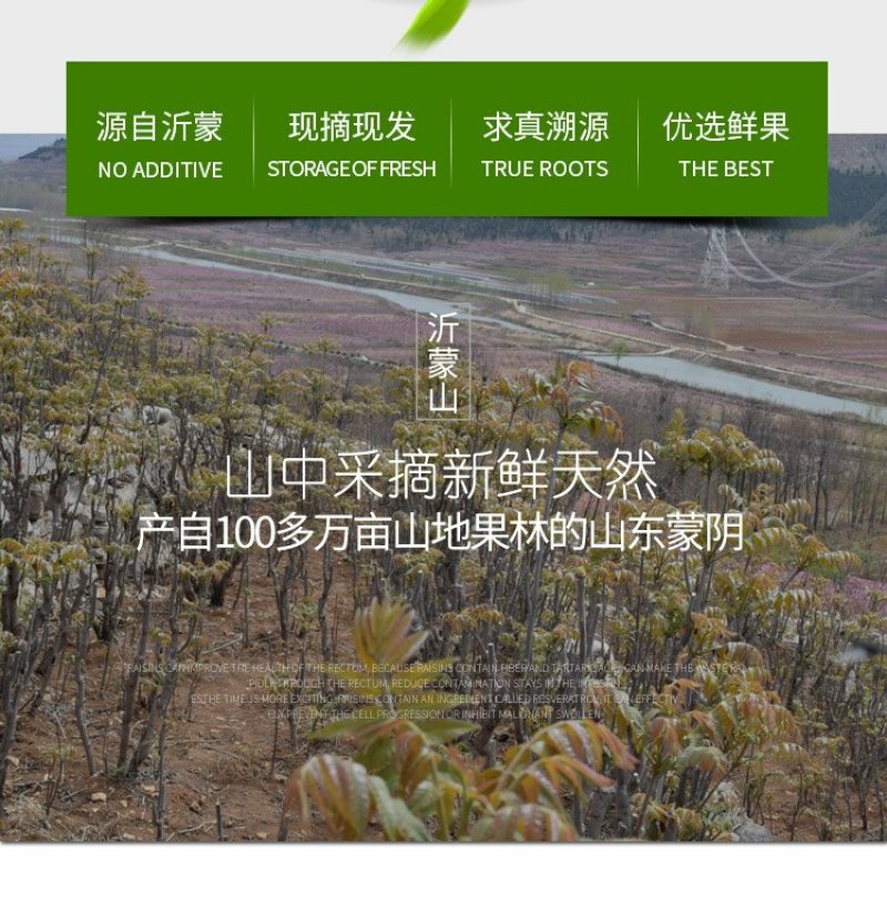 山东香椿芽3斤装提供淘宝微商各大平台一件代发服务