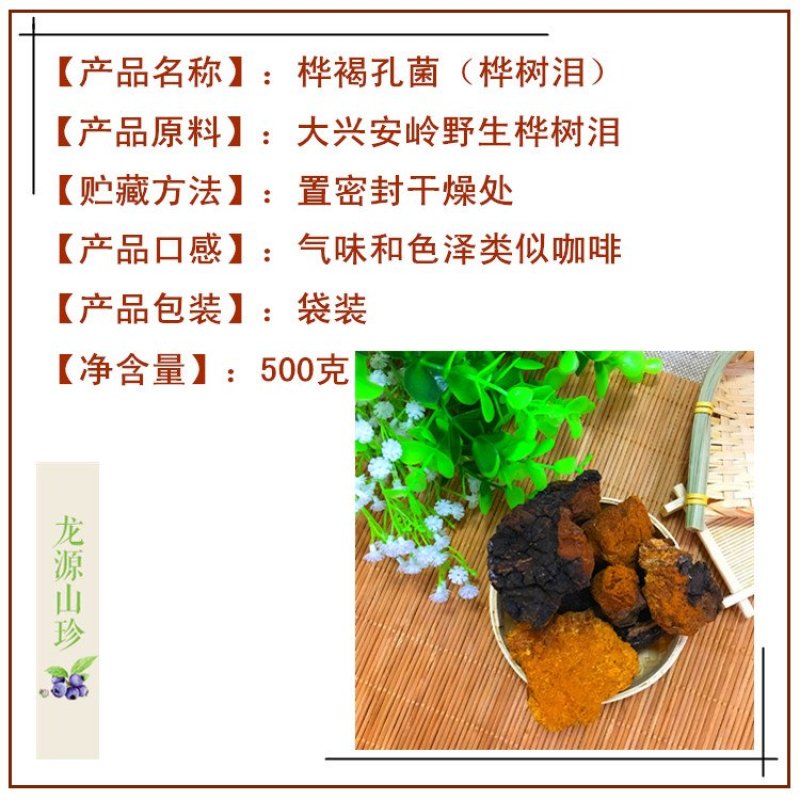 桦树泪大兴安岭野生华褐孔菌白桦茸野生桦树泪