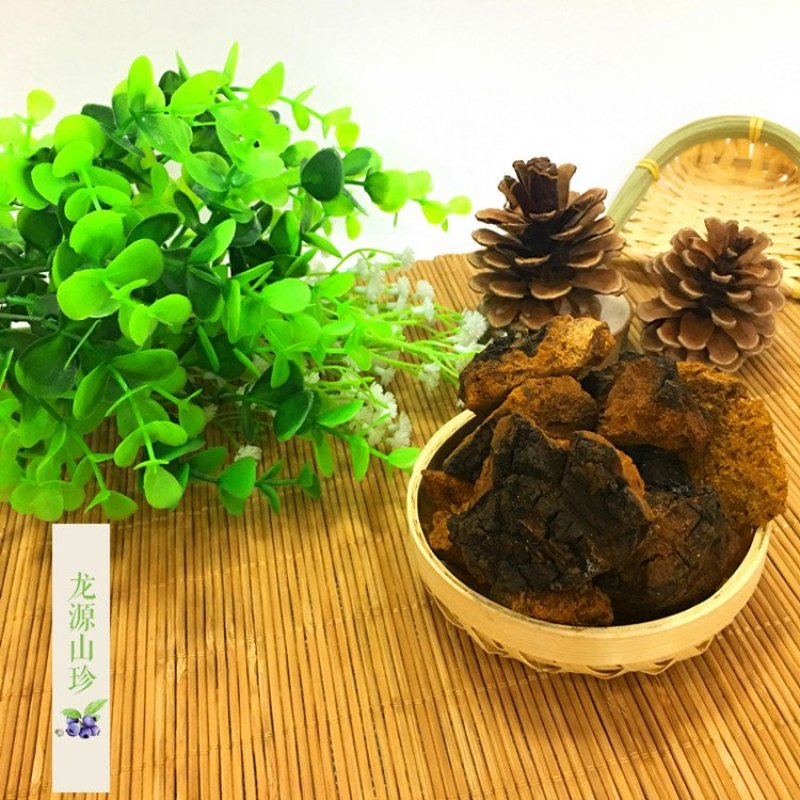 桦树泪大兴安岭野生华褐孔菌白桦茸野生桦树泪