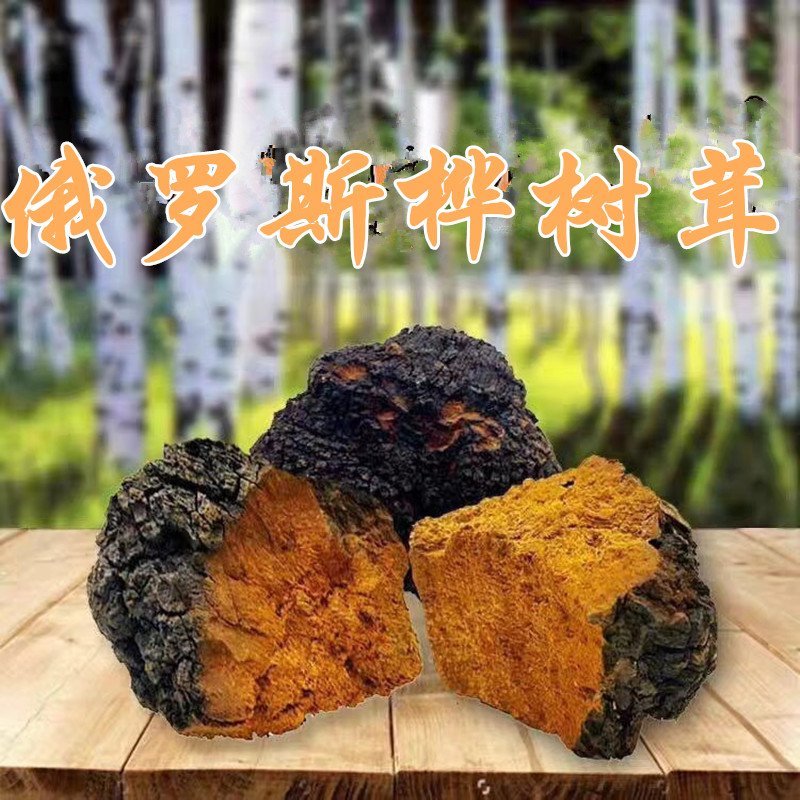 俄罗斯桦树泪俄罗斯野生桦树茸泡茶野生桦树茸野生桦树泪