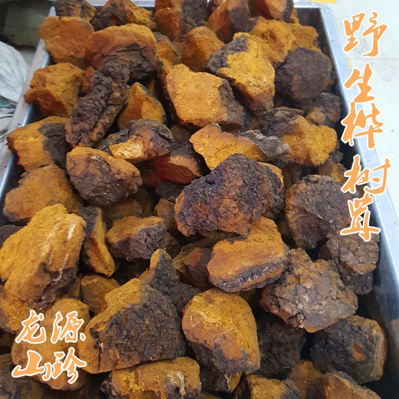 俄罗斯桦树泪俄罗斯野生桦树茸泡茶野生桦树茸野生桦树泪