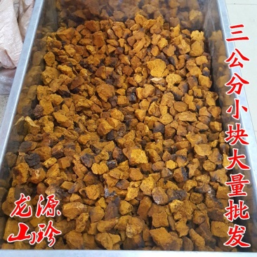 桦树泪桦树茸俄罗斯野生桦树茸三公分小块
