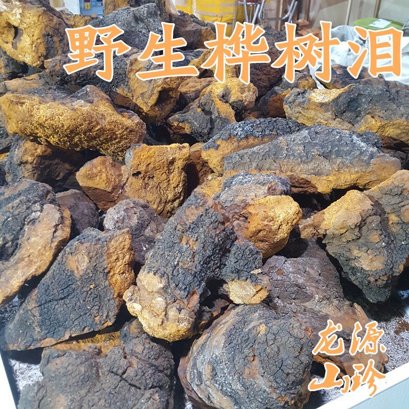 桦树泪桦树茸俄罗斯野生桦树茸三公分小块