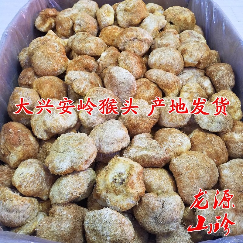 猴头菇干货大兴安岭猴头菇养胃东北特产干货猴头菇
