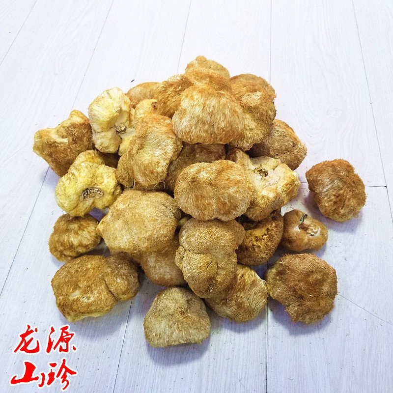 猴头菇干货大兴安岭猴头菇养胃东北特产干货猴头菇