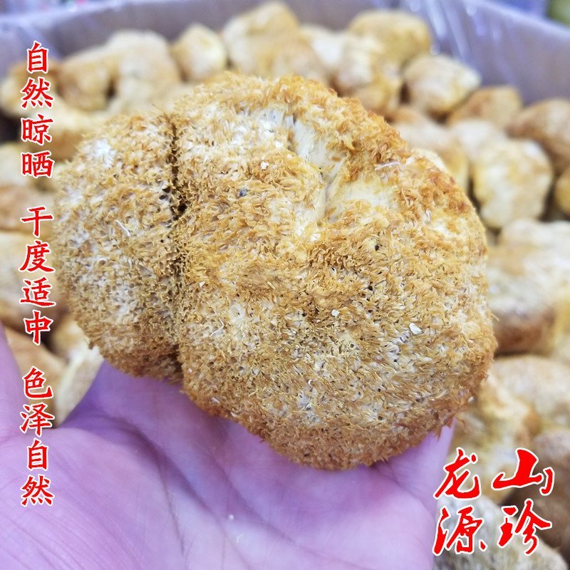 猴头菇干货大兴安岭猴头菇养胃东北特产干货猴头菇