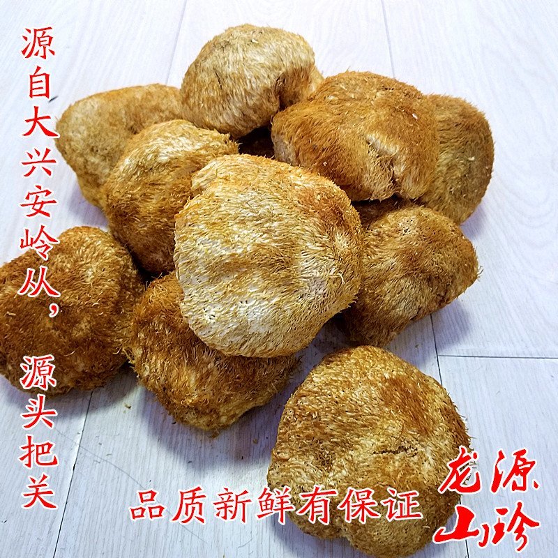 猴头菇干货大兴安岭猴头菇养胃东北特产干货猴头菇