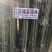 青竹苗