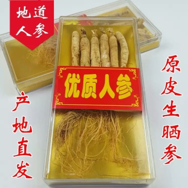 长白山人参野山参煲汤泡酒料东北特产人参整枝生晒参白参东北