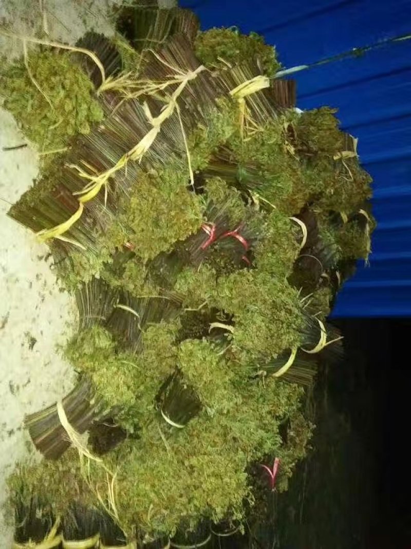 欢迎各位老板蕨菜价格好商量