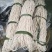 富硒洋芋粉条
