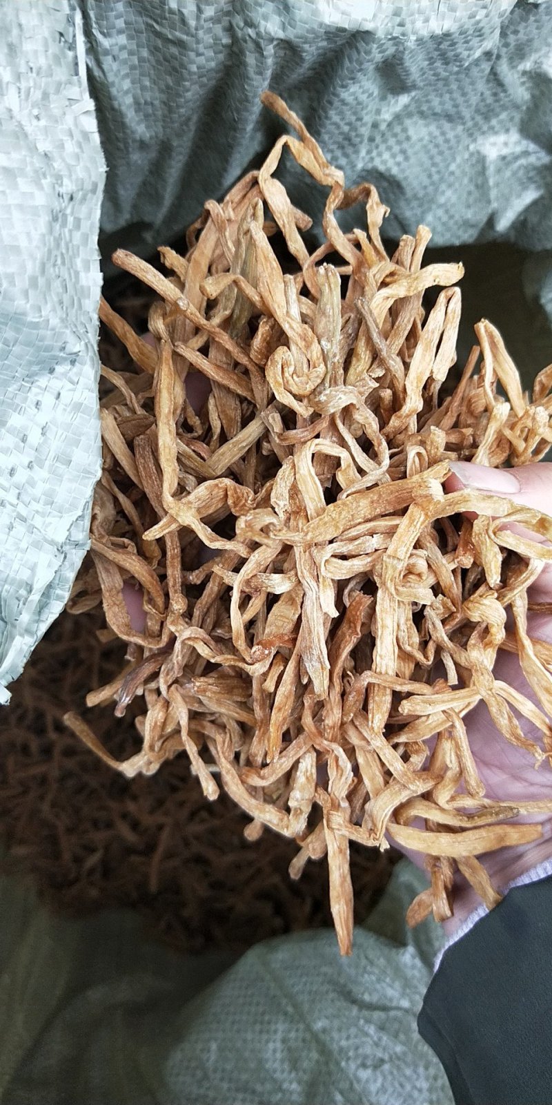 处理菜，颜色不好，黄花菜9成干，