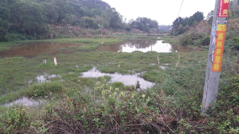 省道边田地