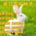 草坪种子马尼拉四季青黑麦草狗牙根免修剪矮草皮草籽庭院