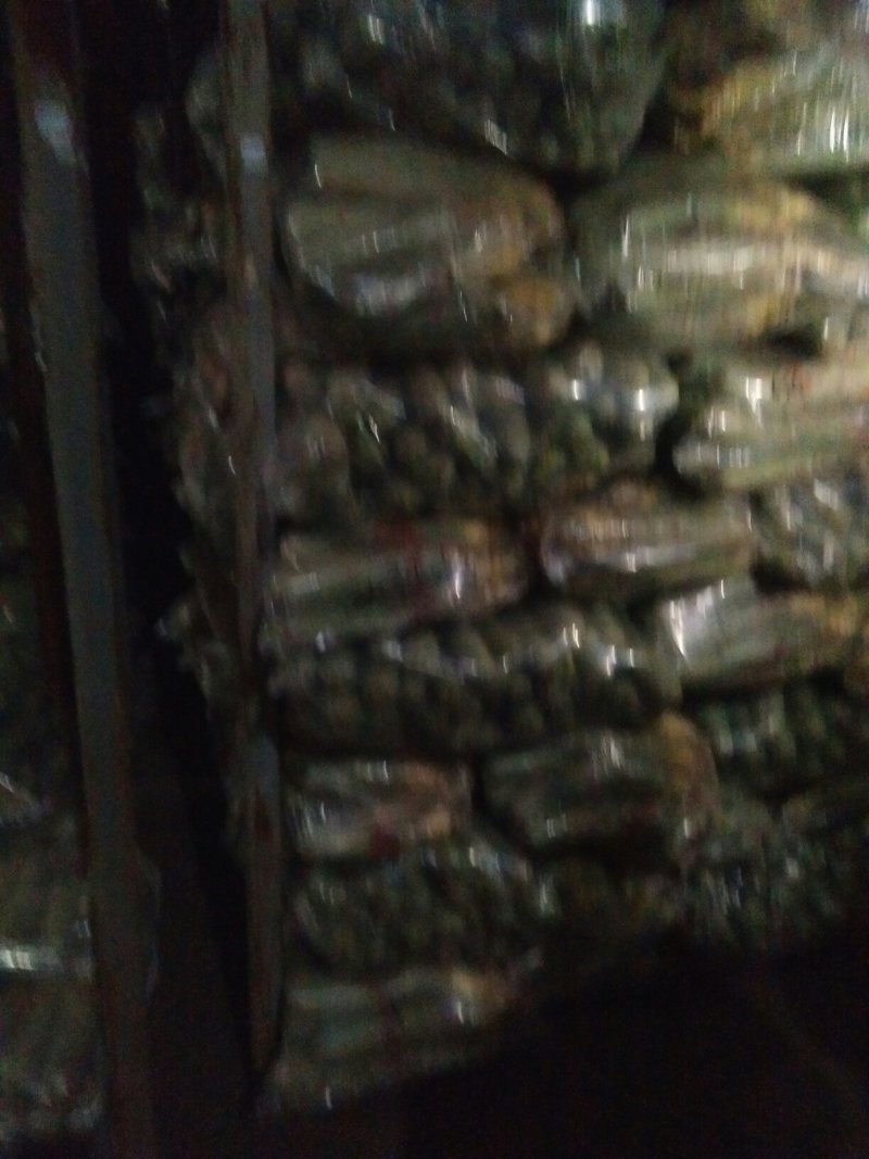 精品青萝卜一手货源原产地直发量大从优质量保证