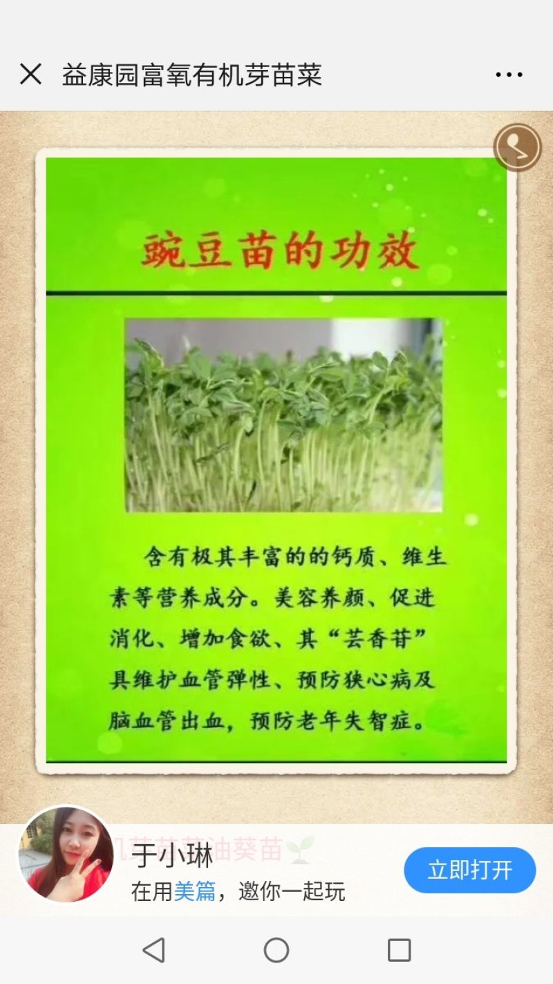 芽苗类