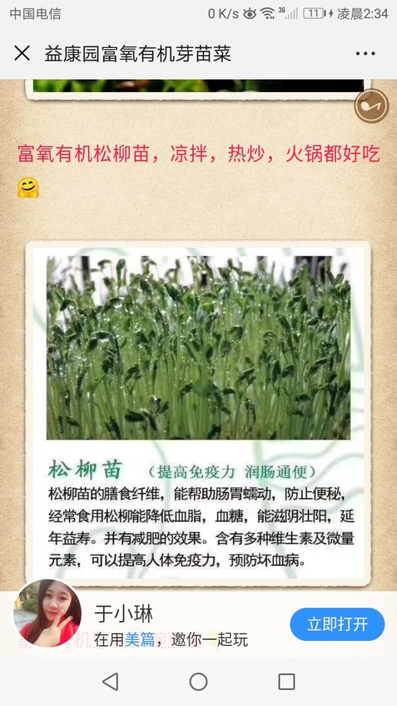 芽苗类