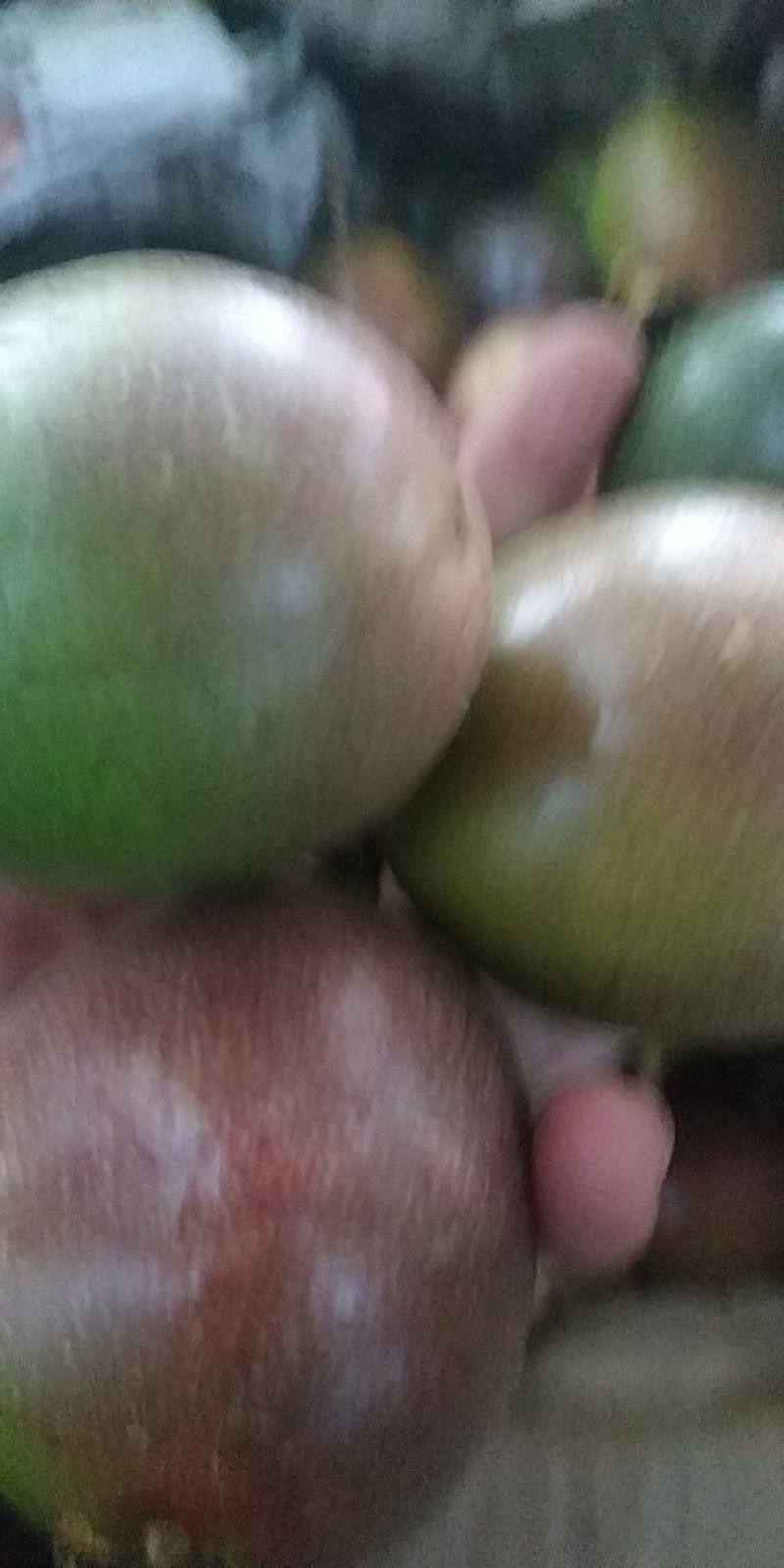 百香果，越南百香果