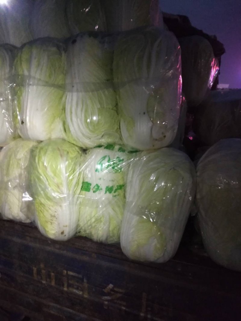 青杂三大白菜，静菜，提供各种包装，等一条龙服务，包上车