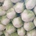 冷库大白菜出售中，价位低，数量大。