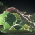 五色草造型草佛甲草