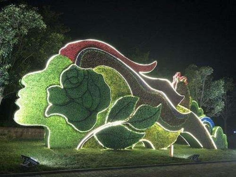 五色草造型草佛甲草