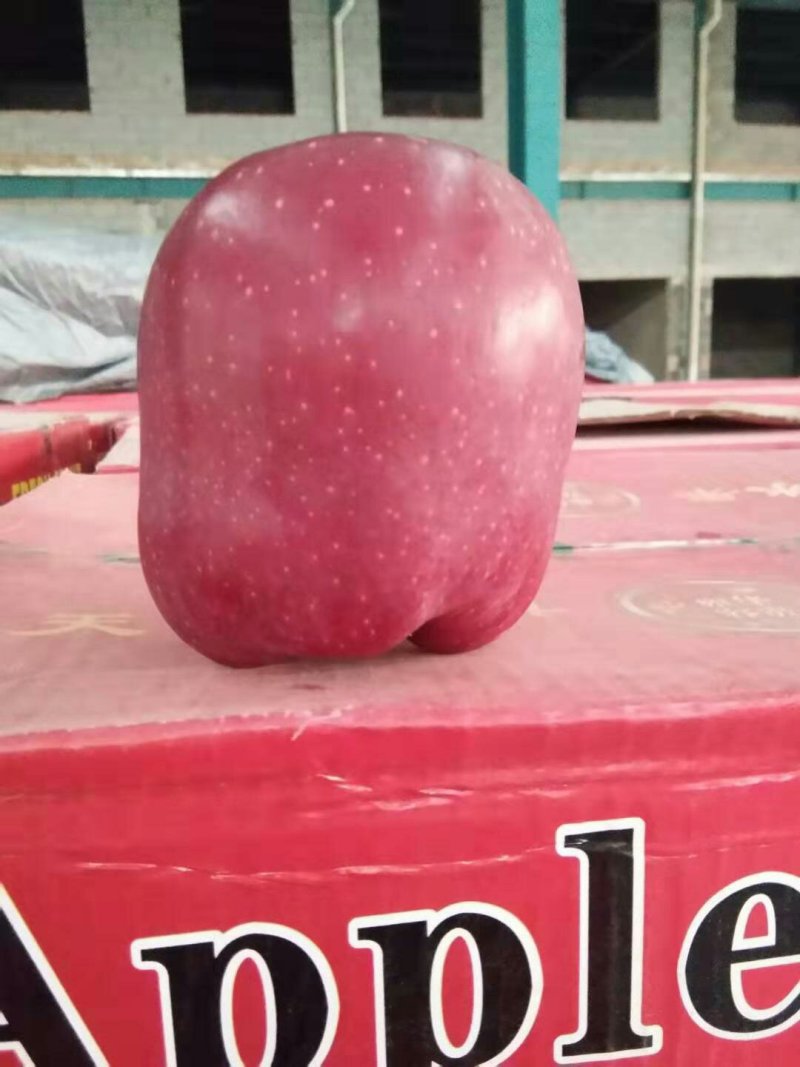 精品花牛