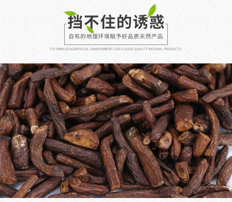 长白山野生蒲公英根茶小根小段小片花茶养生茶产地货源
