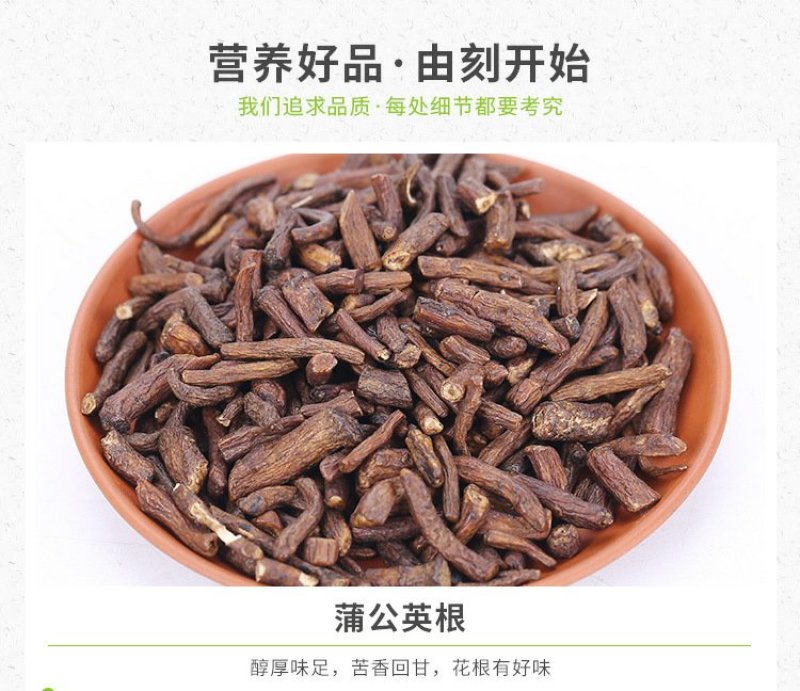 长白山野生蒲公英根茶小根小段小片花茶养生茶产地货源
