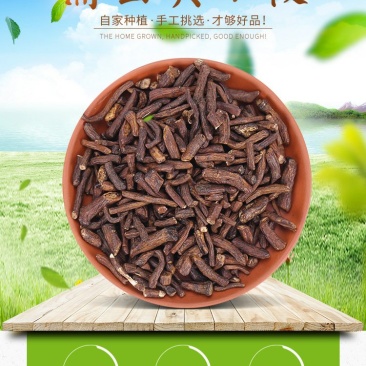 长白山野生蒲公英根茶小根小段小片花茶养生茶产地货源